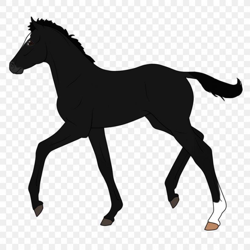 Dutch Warmblood Pony Stallion Mare Silhouette, PNG, 894x894px, Dutch Warmblood, Animal Figure, Black And White, Bridle, Colt Download Free