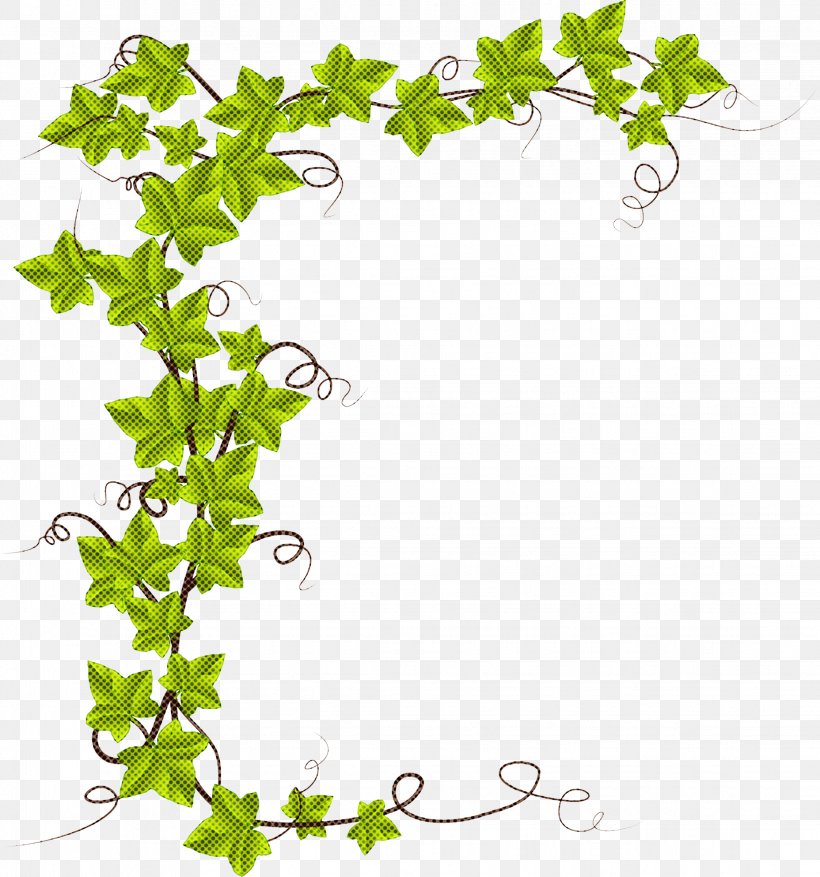 Ivy, PNG, 2244x2400px, Ivy, Flower, Ivy Family, Leaf, Plant Download Free