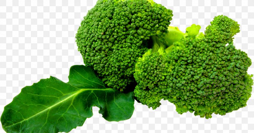 Broccoli Slaw Leaf Vegetable Clip Art, PNG, 1200x630px, Broccoli, Brassica Oleracea, Broccoli Slaw, Carrot, Cauliflower Download Free
