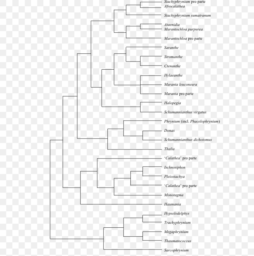 Fusarium Oxysporum Phylogenetic Tree Molecular Phylogenetics Fusarium Solani, PNG, 600x824px, Watercolor, Cartoon, Flower, Frame, Heart Download Free