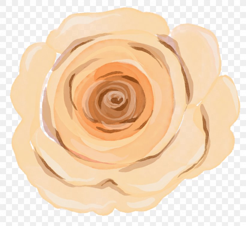 Rose Family Peach, PNG, 1415x1300px, Rose Family, Beige, Flower, Peach, Petal Download Free