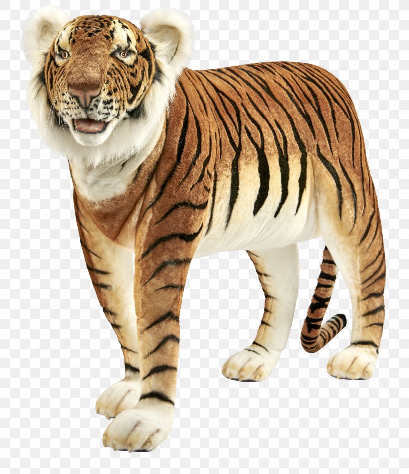 White Tiger Cat Paw Wildlife, PNG, 1763x2048px, Tiger, Animal, Animal Figure, Big Cat, Big Cats Download Free
