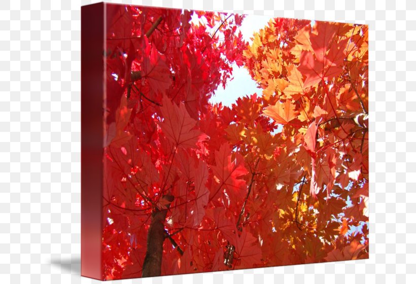 Autumn Maple Leaf Acrylic Paint Gallery Wrap Art, PNG, 650x560px, Autumn, Acrylic Paint, Acrylic Resin, Art, Canvas Download Free