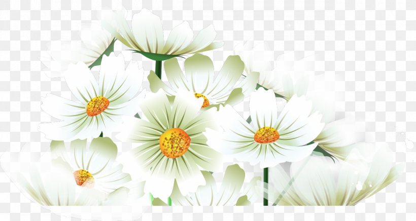 Citation Khanty-Mansi Autonomous Okrug Information, PNG, 1280x681px, Citation, Chrysanths, Cut Flowers, Daisy, Daisy Family Download Free