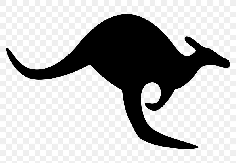 Kangaroo Clip Art, PNG, 800x566px, Kangaroo, Australia, Black And White, Carnivoran, Cat Download Free