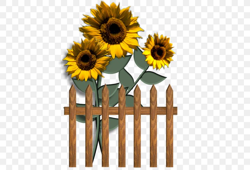 Common Sunflower Blog Clip Art, PNG, 454x557px, Common Sunflower, Blog, Cut Flowers, Daisy Family, Floral Design Download Free