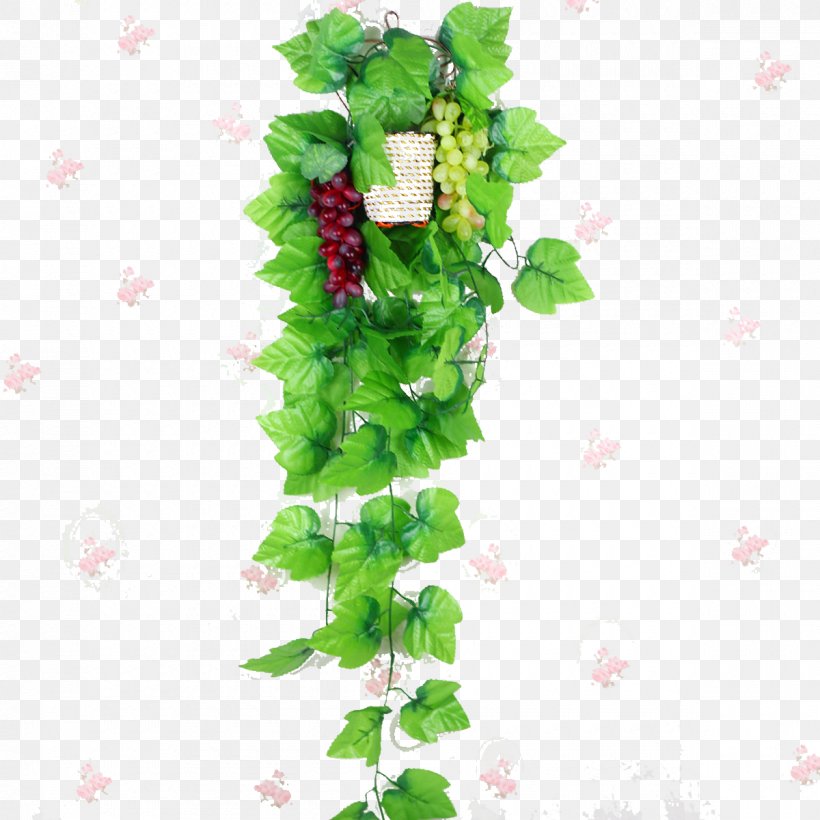 Grapevines Leaf, PNG, 1200x1200px, Grape, Floral Design, Flower, Flowering Plant, Flowerpot Download Free