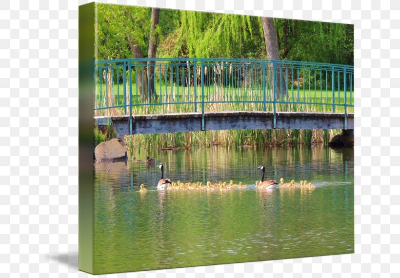 Water Resources Nature Reserve Wetland Gallery Wrap Water Feature, PNG, 650x570px, Water Resources, Art, Bayou, Canal, Canvas Download Free