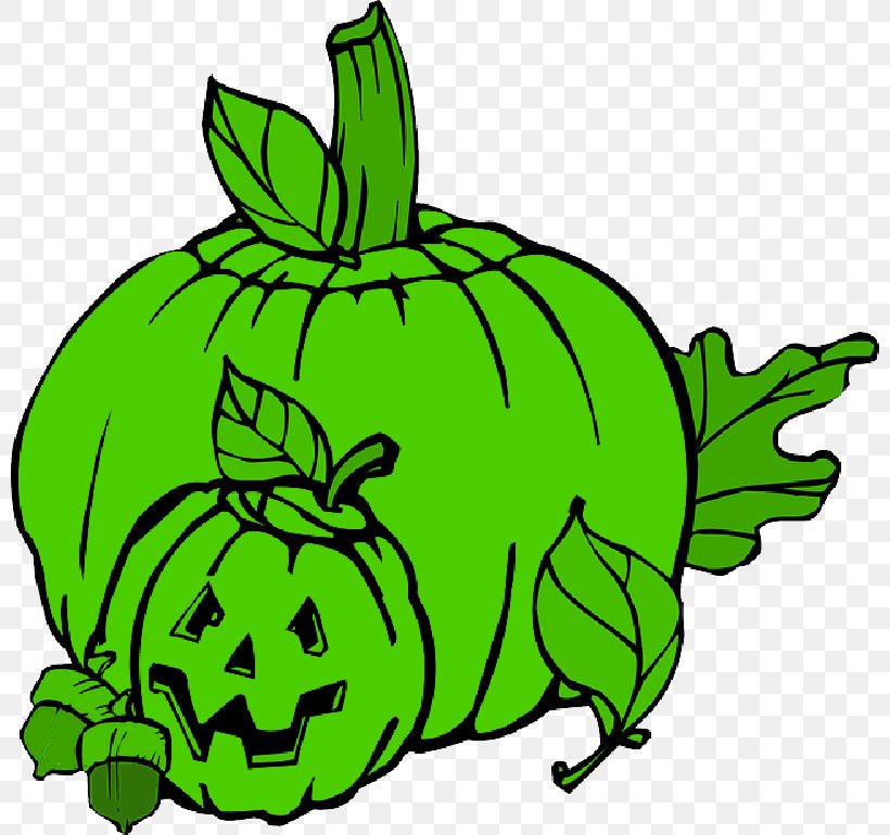 Clip Art Portable Network Graphics Pumpkin Jack-o'-lantern Transparency, PNG, 800x770px, Pumpkin, Drawing, Field Pumpkin, Green, Halloween Download Free