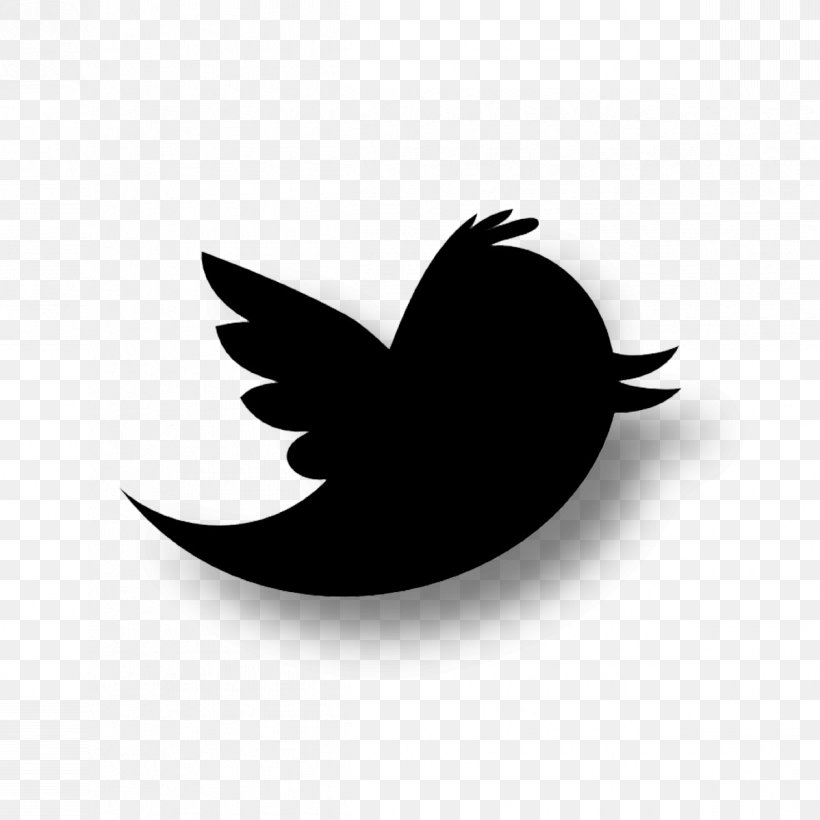 Logo Social Media, PNG, 1198x1198px, Logo, Beak, Bird, Black And White, Leaf Download Free