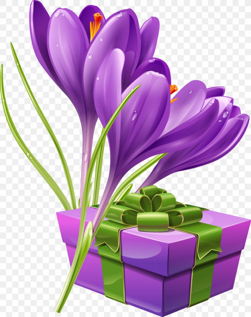 Flower Crocus Stock Photography Illustration, PNG, 831x1050px, Flower, Crocus, Floral Design, Floristry, Flowering Plant Download Free