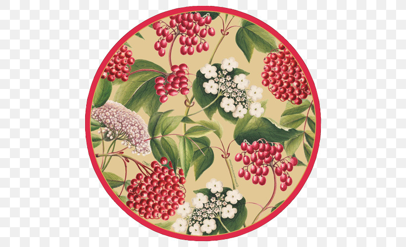 Plate Dishware Plant Berry Flower, PNG, 500x500px, Plate, Berry, Dishware, Elderberry, Flower Download Free