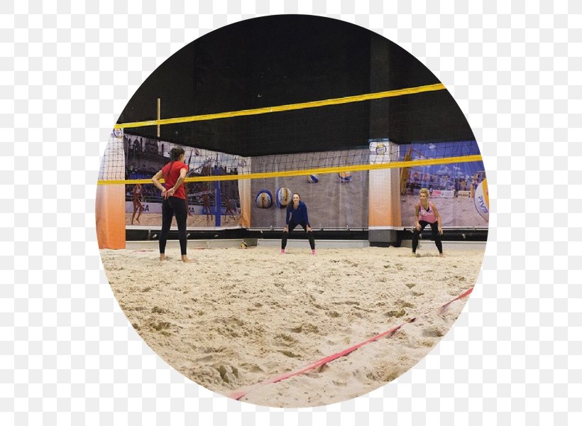 Beach Volleyball Sports Venue, PNG, 600x600px, Beach Volleyball, Beach, Net, Player, Sport Download Free