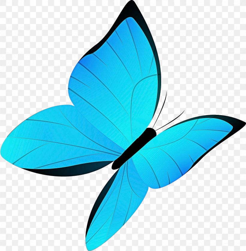 Butterfly Drawing, PNG, 2937x3000px, Butterfly, Alcon Blue, Aqua, Azure, Black Swallowtail Download Free