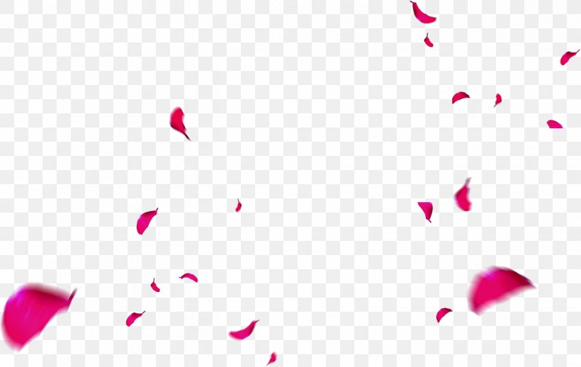 Pink Petal Gratis Designer, PNG, 1351x855px, Pink, Creativity, Data Compression, Designer, Gratis Download Free