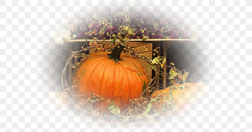 Pumpkin Autumn Polyvore Work Of Art, PNG, 585x431px, Pumpkin, Art, Autumn, Autumn Leaf Color, Calabaza Download Free