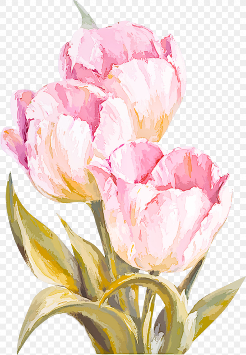 Flower Petal Cut Flowers Tulip Pink, PNG, 1383x2000px, Flower, Cut Flowers, Lily Family, Petal, Pink Download Free