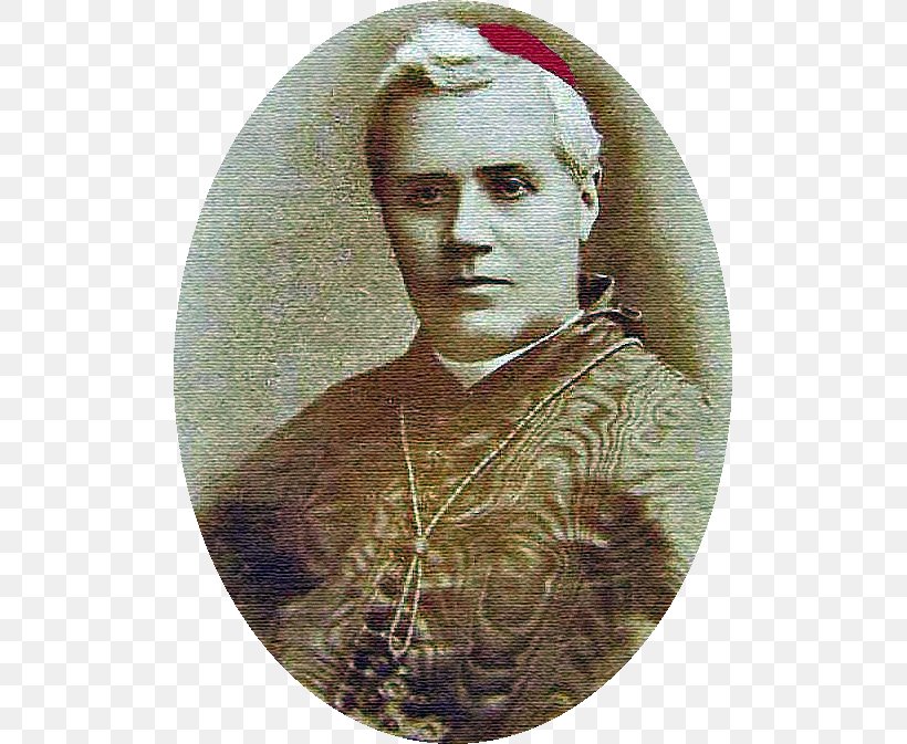 Patriarch Of Venice Pope Pius X Church History Authority, PNG, 505x673px, Pope Pius X, Ancient History, Authority, Chronology, Church History Download Free