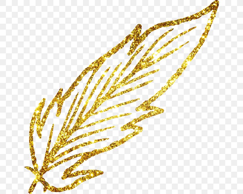 Image Vector Graphics Download Photography, PNG, 658x655px, Photography, Chemical Element, Color, Feather, Gold Download Free