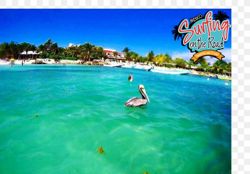 Akumal Beach Hotel Caribbean Travel, PNG, 1024x712px, Hotel, Akumal, Bay, Beach, Caribbean Download Free