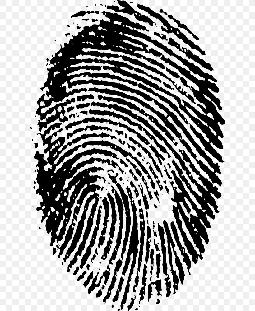 Fingerprint Spiral, PNG, 626x1000px, Fingerprint, Area, Black, Black And White, Digital Media Download Free