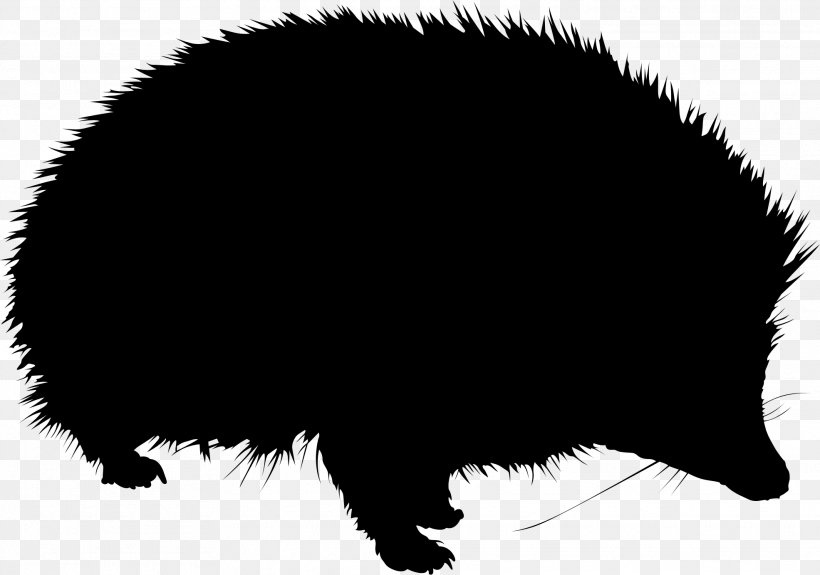 Hedgehog Porcupine Pig, PNG, 1971x1383px, Hedgehog, Animal, European Hedgehog, Fur, Mammal Download Free