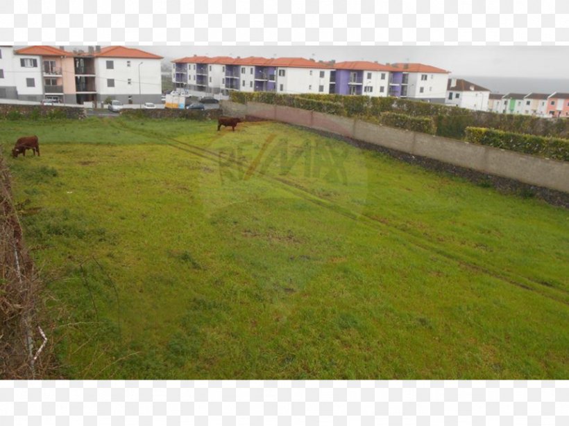 Land Lot Fence Real Property Pasture, PNG, 1024x768px, Land Lot, Area, Fence, Grass, Grassland Download Free