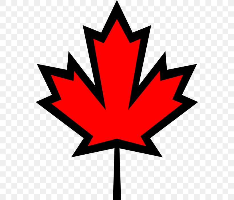 Maple Leaf Clip Art Vector Graphics Flag Of Canada, PNG, 569x700px, Maple Leaf, Art, Artwork, Canada, Flag Of Canada Download Free