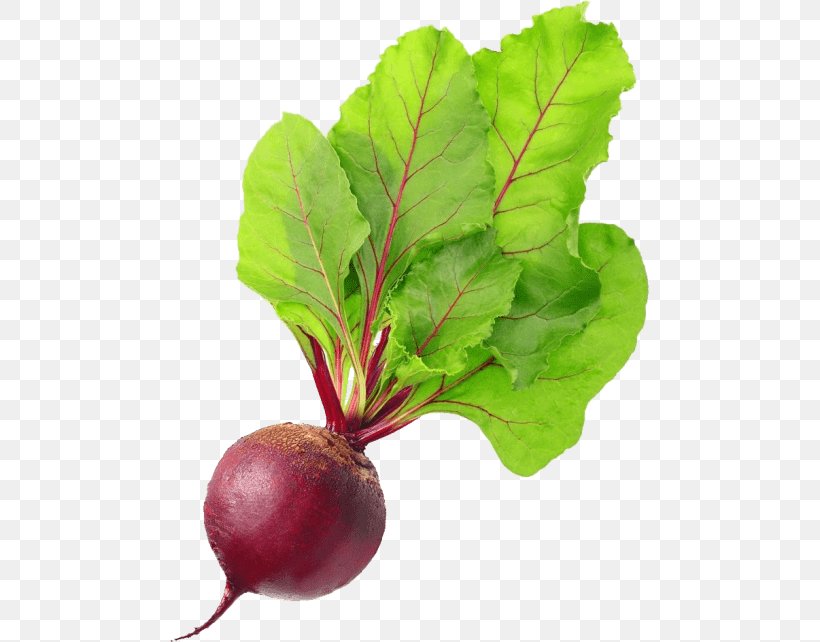 Organic Food Beetroot Vegetarian Cuisine Chard, PNG, 480x642px, Organic Food, Beet, Beetroot, Beta, Betanin Download Free