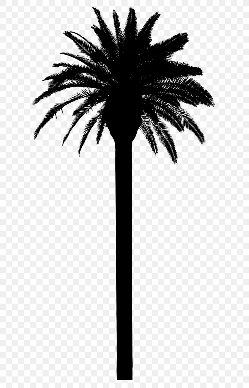 Asian Palmyra Palm Date Palm Palm Trees Silhouette Plant Stem, PNG, 750x1278px, Asian Palmyra Palm, Arecales, Attalea Speciosa, Black, Blackandwhite Download Free