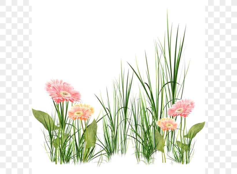 Floral Design Flower Clip Art, PNG, 600x600px, Floral Design, Chart, Floristry, Flower, Flower Arranging Download Free
