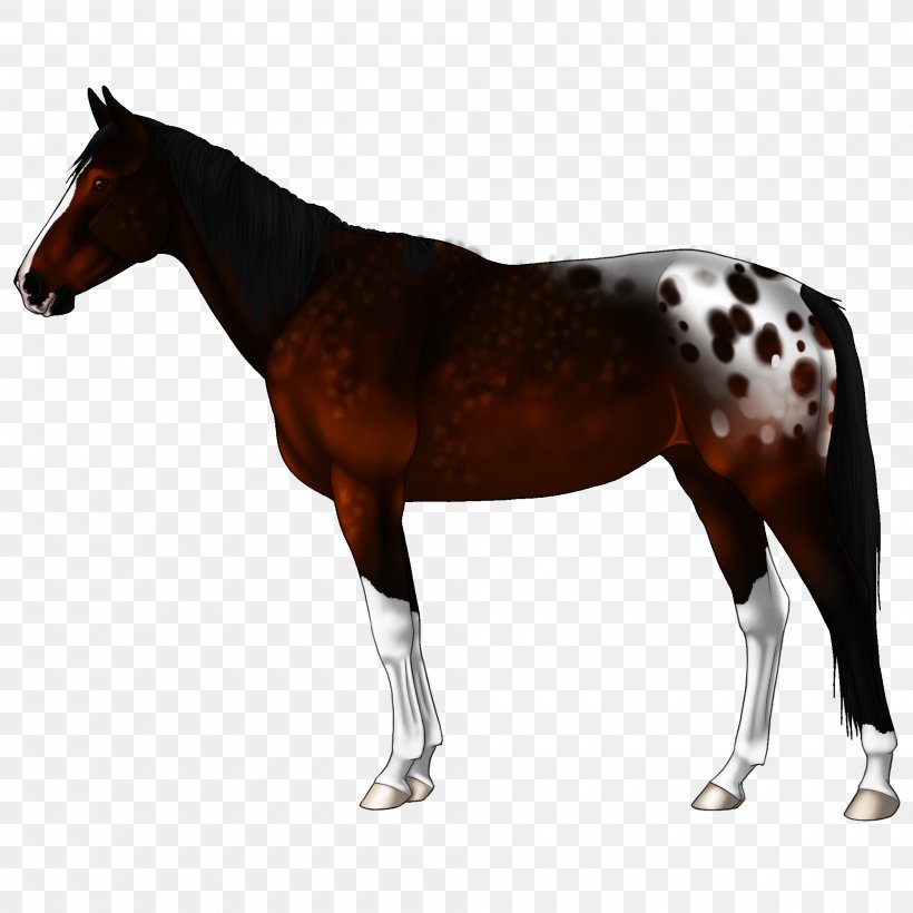 Mule Akhal-Teke Appaloosa Stallion Image, PNG, 2000x2000px, Mule, Akhalteke, Animal Figure, Appaloosa, Bay Download Free