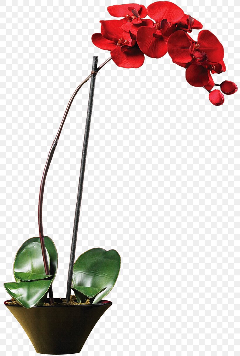 Orchids Phalaenopsis Cornu-cervi Nearly Natural, Inc. Vase Plants, PNG, 817x1217px, Orchids, Anthurium, Artificial Flower, Boat Orchid, Cut Flowers Download Free