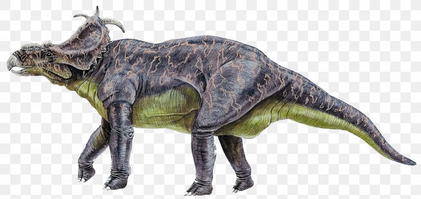 Stegosaurus Reptile Velociraptor Pachyrhinosaurus Dinosaur, PNG, 1536x728px, Stegosaurus, Animal, Animal Figure, Computer Font, Cretaceous Download Free