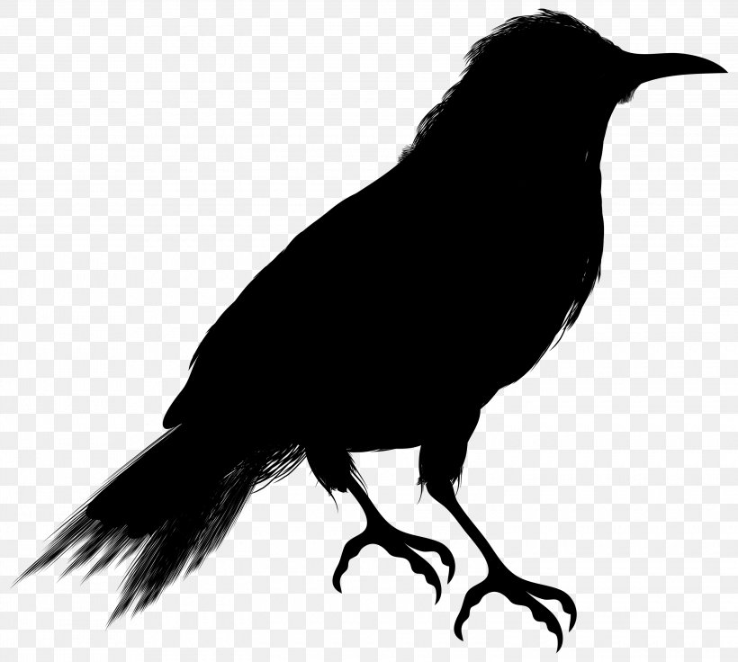 Crow Clip Art Vector Graphics Silhouette Image, PNG, 3000x2693px, Crow, American Crow, Art, Beak, Bird Download Free