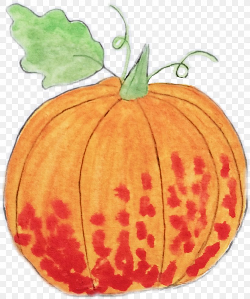 Pumpkin, PNG, 1024x1224px, Pumpkin, Calabaza, Cucurbita, Fruit, Leaf Download Free