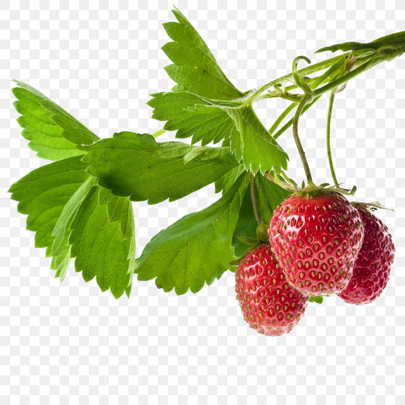 Strawberry Food Fruit, PNG, 2244x2244px, Strawberry, Amorodo, Auglis, Berry, Food Download Free