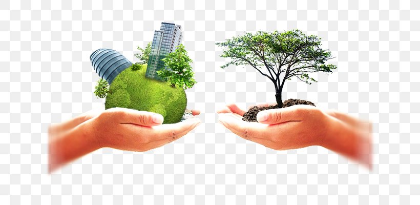Sustainability Organization EOS Worldwide, LLC Business Management, PNG, 650x400px, Sustainability, Animation, Arbor Day, Business, Business Development Download Free