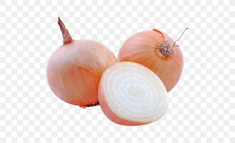 Yellow Onion Shallot Pierogi Stuffing Red Onion, PNG, 500x500px, Yellow Onion, Berry, Boiling, Food, Glutenfree Diet Download Free