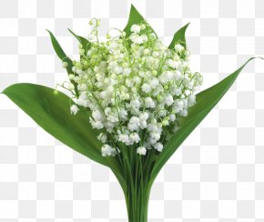 Birthday - Flower Bouquet Greeting & Note Cards Birthday Happiness Wish PNG