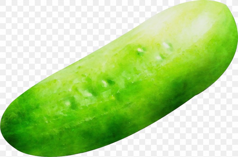 Green Cucumber Winter Melon Plant Fruit, PNG, 1357x897px, Watercolor, Cucumber, Cucumber Gourd And Melon Family, Food, Fruit Download Free