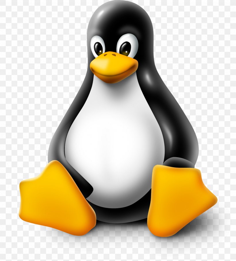 Linux Distribution Logo Ubuntu, PNG, 1979x2186px, Linux, Beak, Bird, Computer, Computer Software Download Free