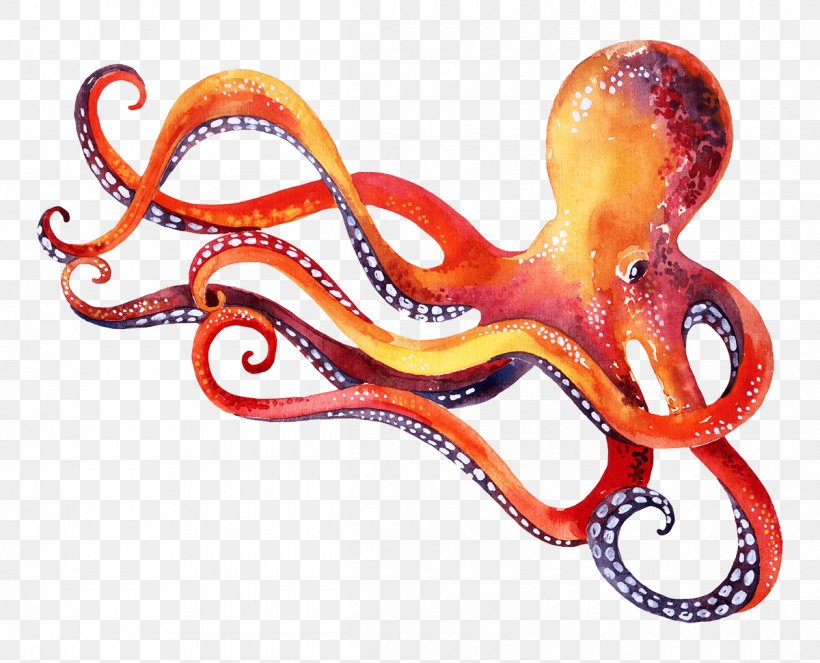 Octopus Marine Invertebrates Cephalopod Animal, PNG, 1200x971px, Octopus, Animal, Cephalopod, Invertebrate, Marine Invertebrates Download Free