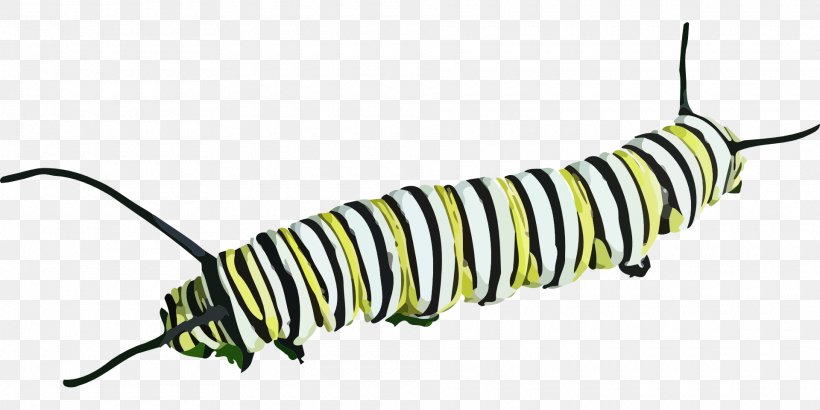 Butterfly Caterpillar Insect Clip Art, PNG, 1920x960px, Butterfly, Caterpillar, Image File Formats, Insect, Invertebrate Download Free