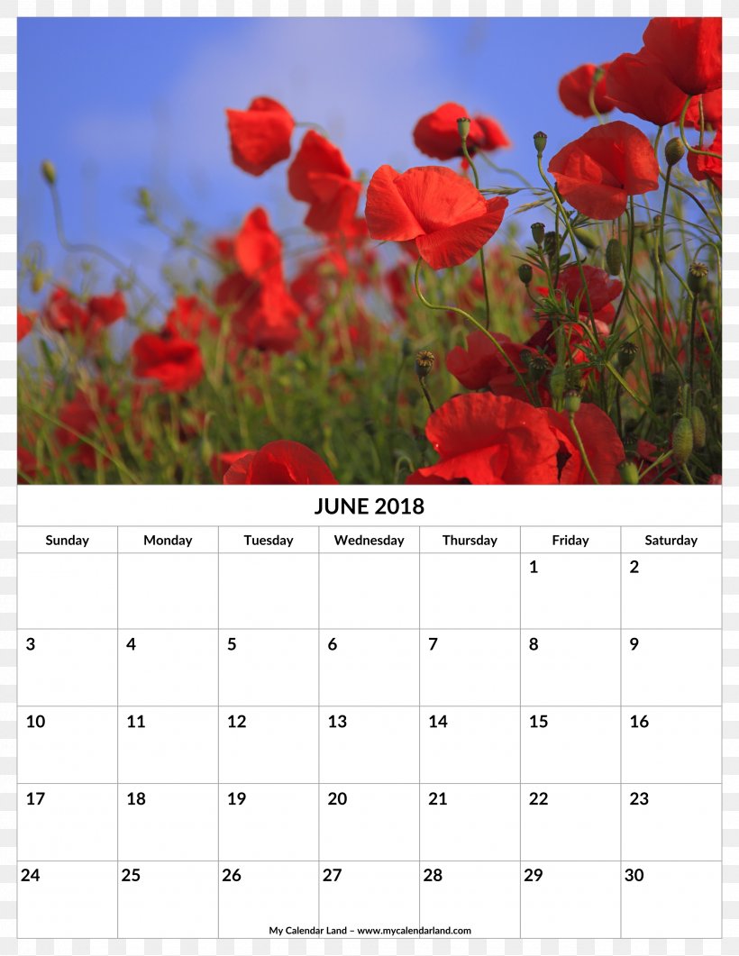 Common Poppy Remembrance Poppy Desktop Wallpaper Opium Poppy, PNG, 2550x3300px, 2017, 2018, Poppy, Calendar, Common Poppy Download Free
