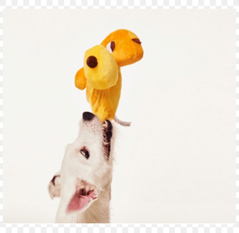 Giraffe Stuffed Animals & Cuddly Toys Snout, PNG, 800x800px, Giraffe, Giraffidae, Organism, Plush, Snout Download Free