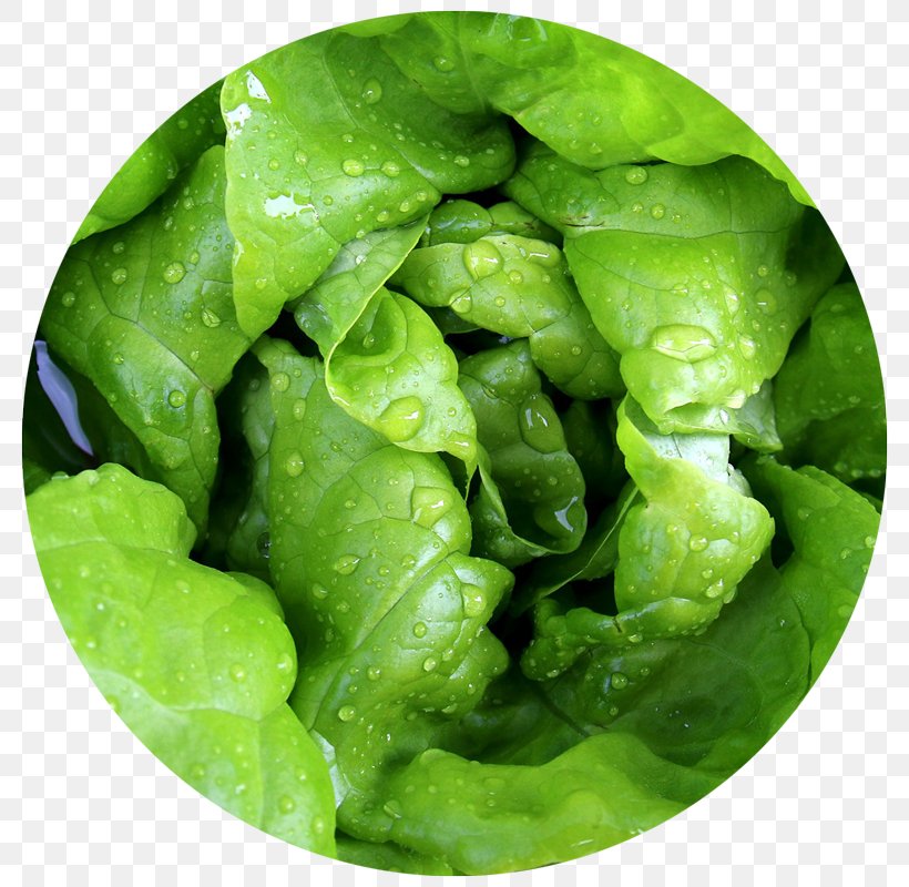 Leaf Vegetable Green Tea Food Lettuce, PNG, 800x800px, Leaf Vegetable, Collard Greens, Cooking, Disease, Food Download Free