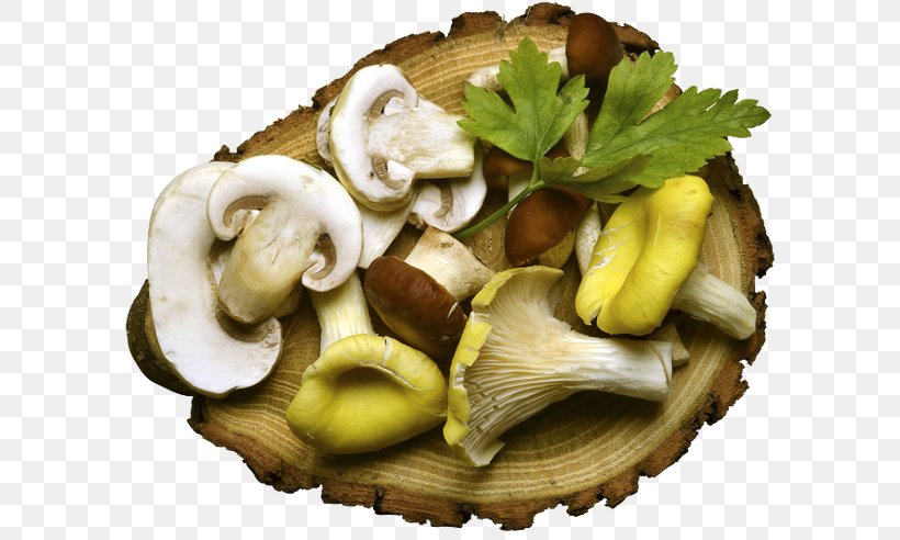 Oyster Recipe Mushroom Food Desktop Wallpaper, PNG, 600x492px, Oyster, Common Mushroom, Dish, Eating, Edible Mushroom Download Free