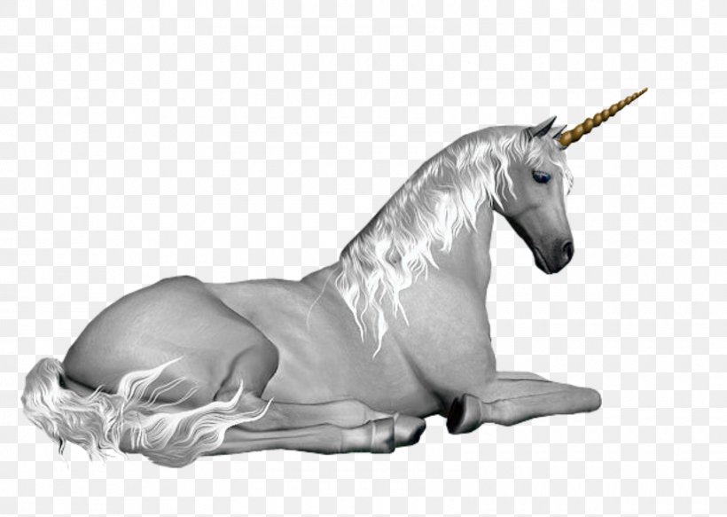 Unicorn GIF Horse Image Clip Art, PNG, 1600x1139px, Unicorn, Bedroom, Black And White, Blog, Fairy Download Free