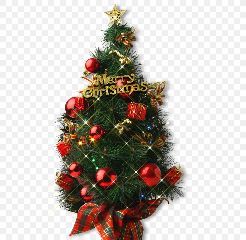 Christmas Tree, PNG, 800x800px, Christmas, Chart, Christmas Decoration, Christmas Ornament, Christmas Tree Download Free